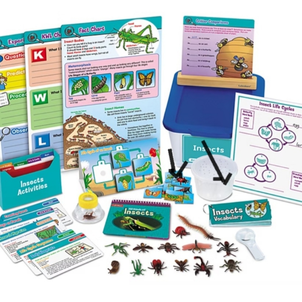 Lakeshore Insects Learning KIT - Picture 7 of 7